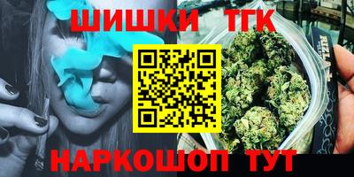 индика Славгород