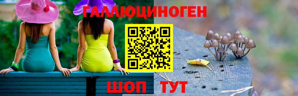 закладки  Вход с VPN  Киржач  Псилоцибиновые грибы Psilocybine cubensis 