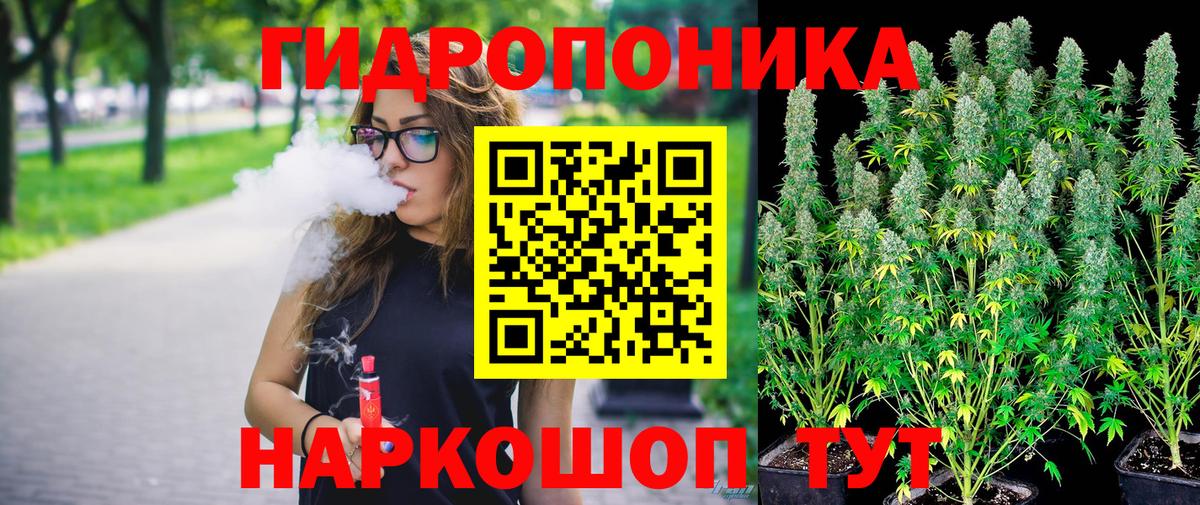 Марихуана сатива  Марихуана индика  Бошки марихуана AK-47  Киржач  Вход с VPN 